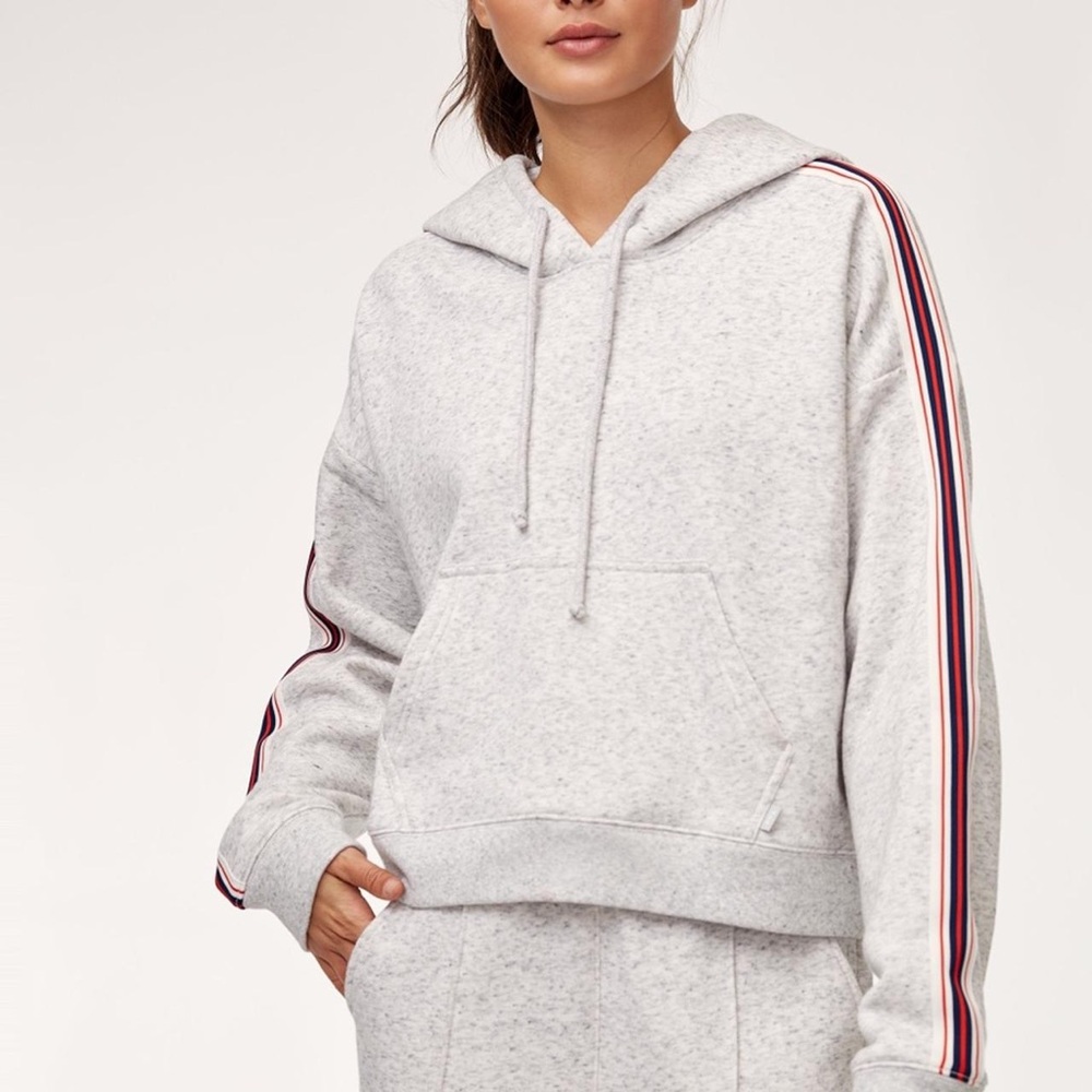 Aritzia TNA Iconic Hoodie Gray Hoodie with Striped Sleeves